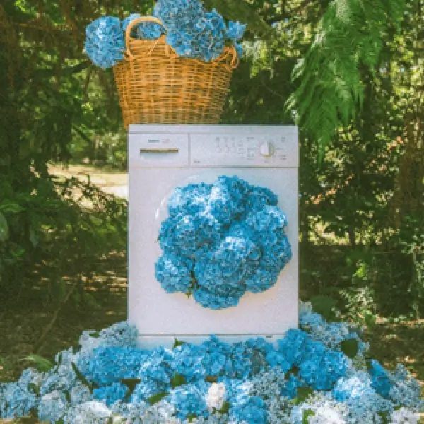 CHLOE VIOLETTE - ROAD TO RECOVERY