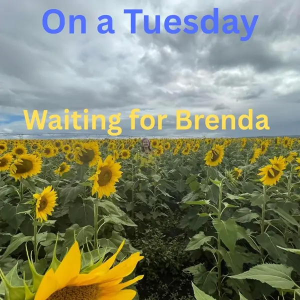 WAITING FOR BRENDA - ON A TUESDAY