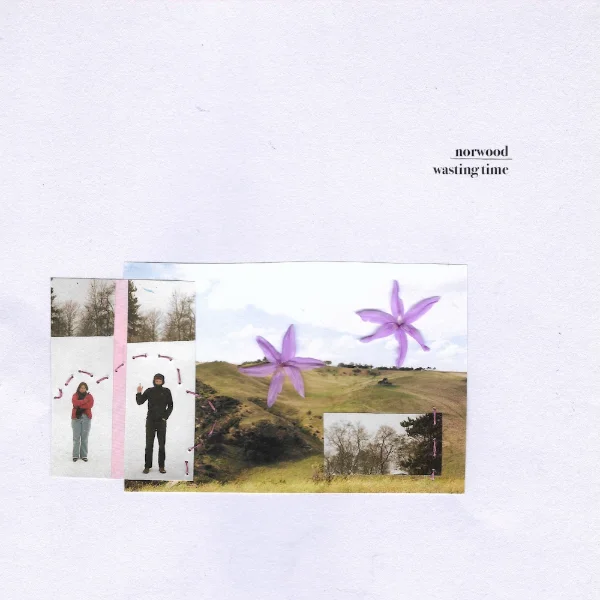 NORWOOD - WASTING TIME